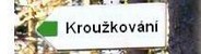 ipka